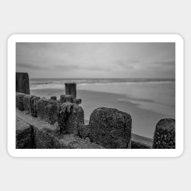 Close up of wooden sea defences protecting against coastal erosion Sticker by yackers1